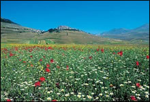 The Country House - Castelluccio di Norcia